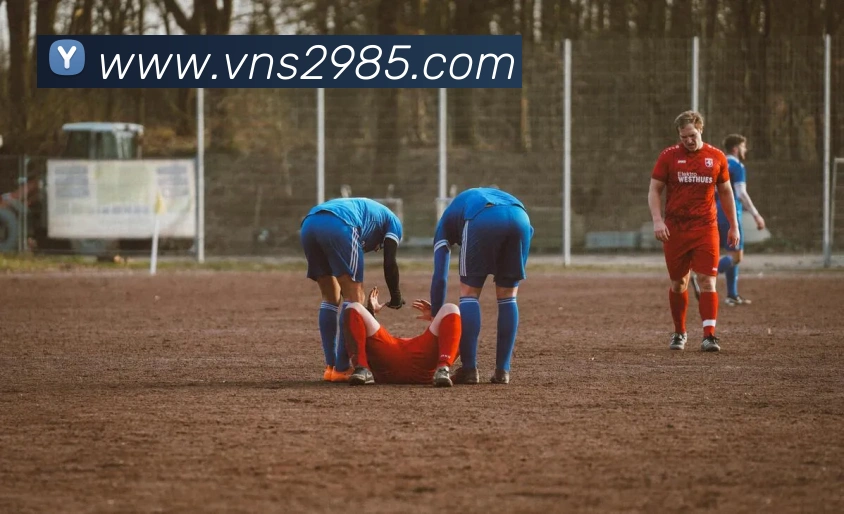 澳门威尼斯人网页平台生态图